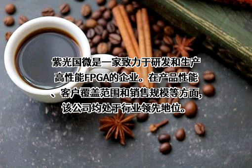 紫光国芯微电子股份有限公司
