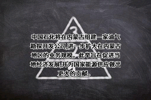 中国石油化工集团有限公司