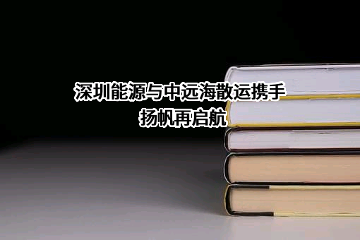 深圳能源集团股份有限公司