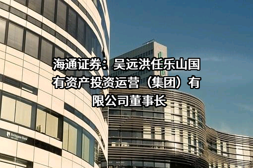 乐山国有资产投资运营（集团）有限公司