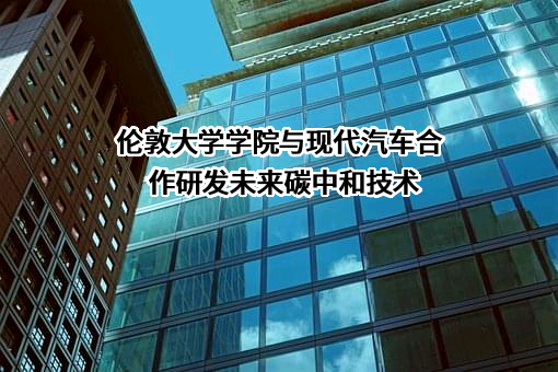 现代汽车（中国）投资有限公司