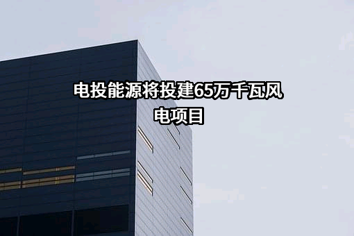 电投能源将投建65万千瓦风电项目