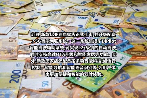 比亚迪股份有限公司