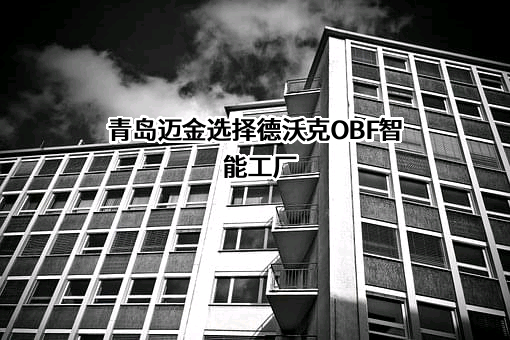 青岛迈金智能科技股份有限公司