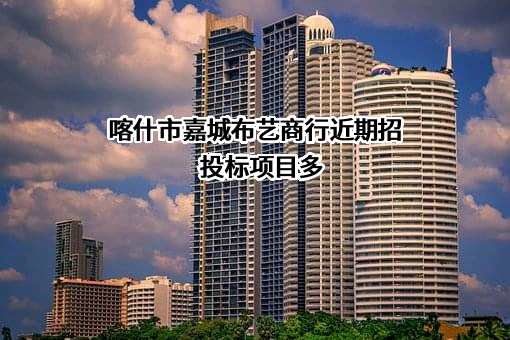 喀什市嘉城布艺商行近期招投标项目多