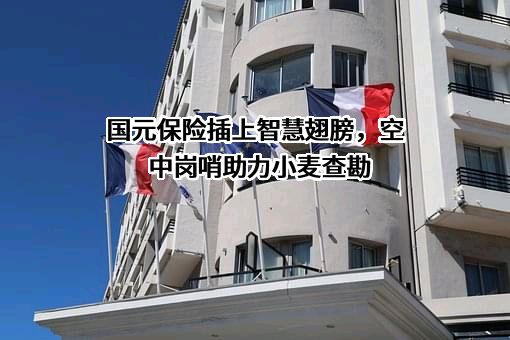 安徽国元保险经纪股份有限公司