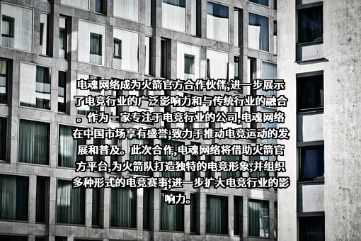 杭州电魂网络科技股份有限公司