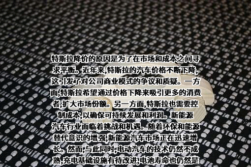 特斯拉（上海）有限公司