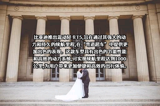 比亚迪股份有限公司