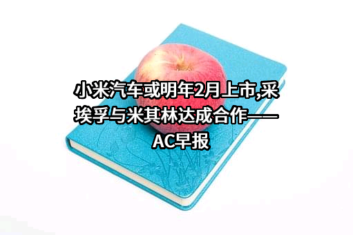 米其林（中国）投资有限公司