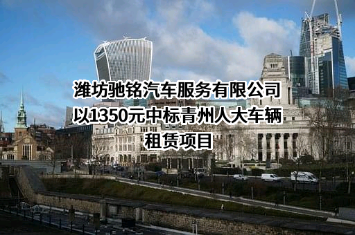 潍坊驰铭汽车服务有限公司