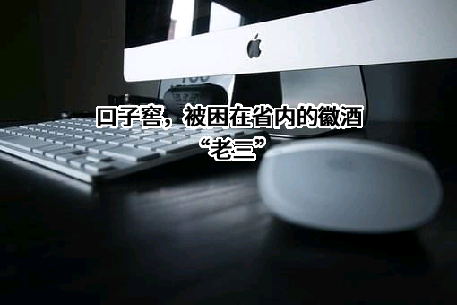 江苏今世缘酒业股份有限公司