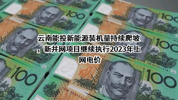 云南能源投资股份有限公司