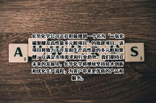 长华化学科技股份有限公司
