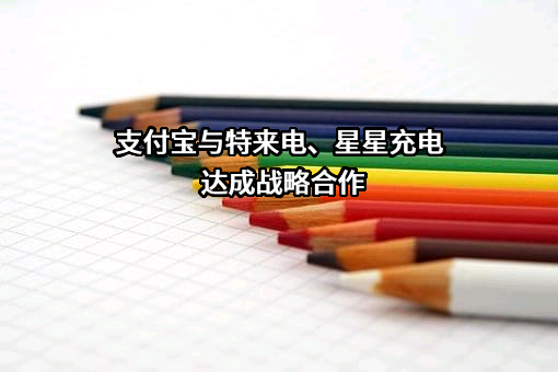 支付宝（中国）网络技术有限公司