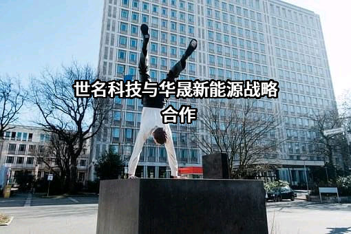 安徽华晟新能源科技股份有限公司