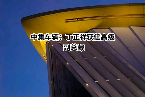 中集车辆（集团）股份有限公司