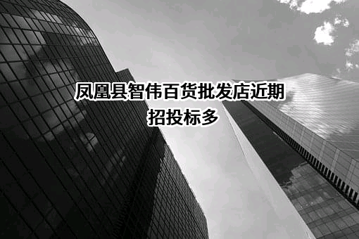 凤凰县智伟百货批发店近期招投标项目多