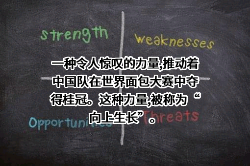 上海博华国际展览有限公司