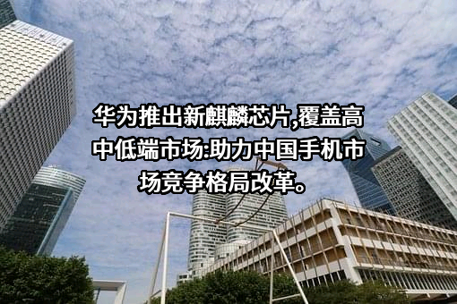 华为技术有限公司