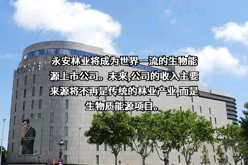 福建省永安林业（集团）股份有限公司