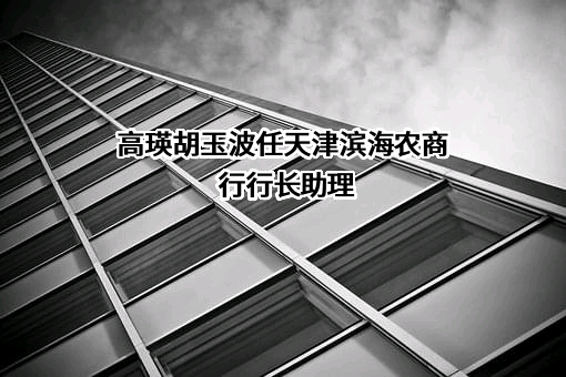 天津滨海农村商业银行股份有限公司