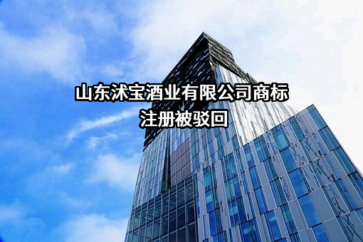 山东沭宝酒业有限公司商标注册被驳回