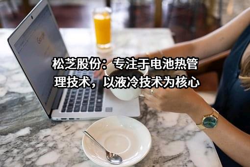 上海加冷松芝汽车空调股份有限公司