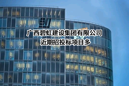 广西碧虹建设集团有限公司