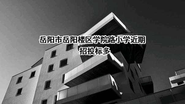 岳阳市岳阳楼区学院路小学
