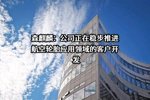 青岛森麒麟轮胎股份有限公司