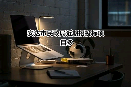 安达市民政局近期招投标项目多