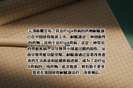 云顶新耀医药科技有限公司