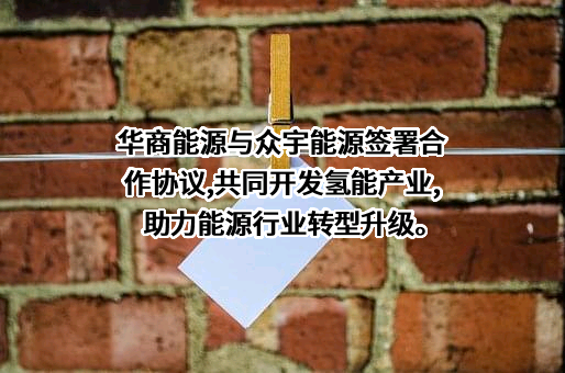 武汉众宇动力系统科技有限公司