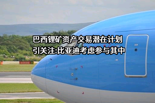 比亚迪股份有限公司