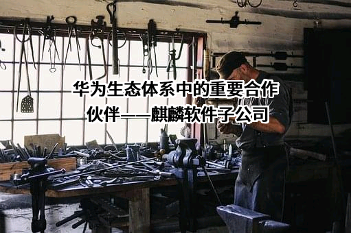 中国软件与技术服务股份有限公司