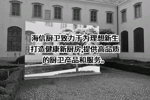 海信（山东）厨卫有限公司