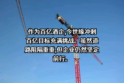 江苏今世缘酒业股份有限公司