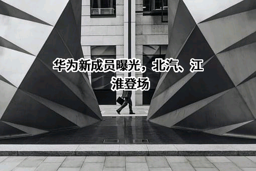 安徽江淮汽车集团股份有限公司