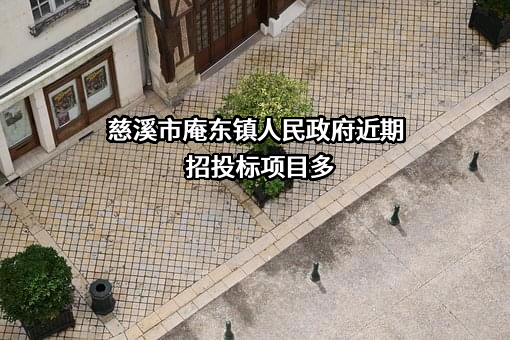 慈溪市庵东镇人民政府