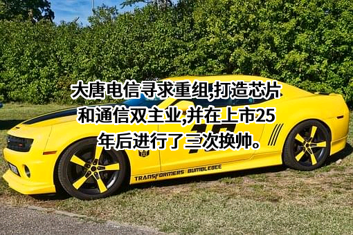 大唐电信科技股份有限公司