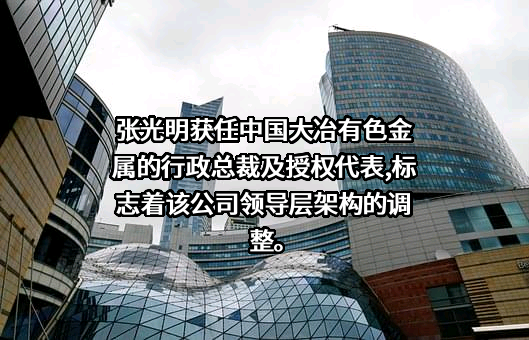 中国大冶有色金属矿业有限公司