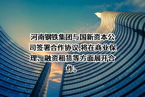河南钢铁控股集团有限公司