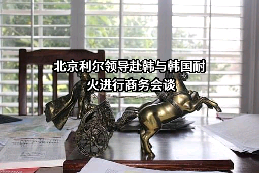 北京利尔高温材料股份有限公司