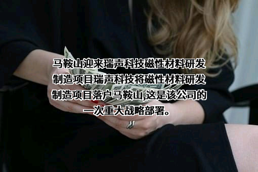 瑞声科技控股股份有限公司