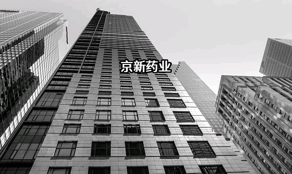 浙江京新药业股份有限公司
