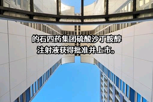 石四药集团有限公司