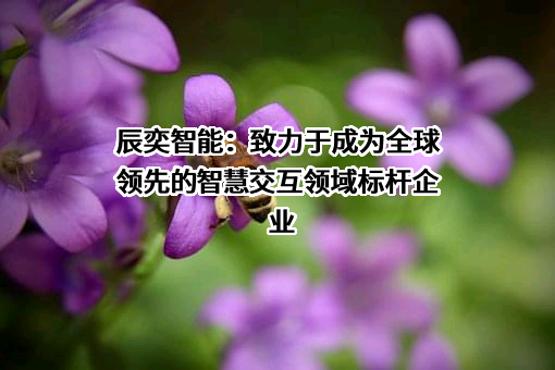 广东辰奕智能科技股份有限公司