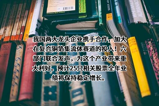 上海璞泰来新能源科技股份有限公司