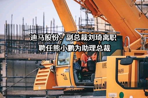 重庆市迪马实业股份有限公司